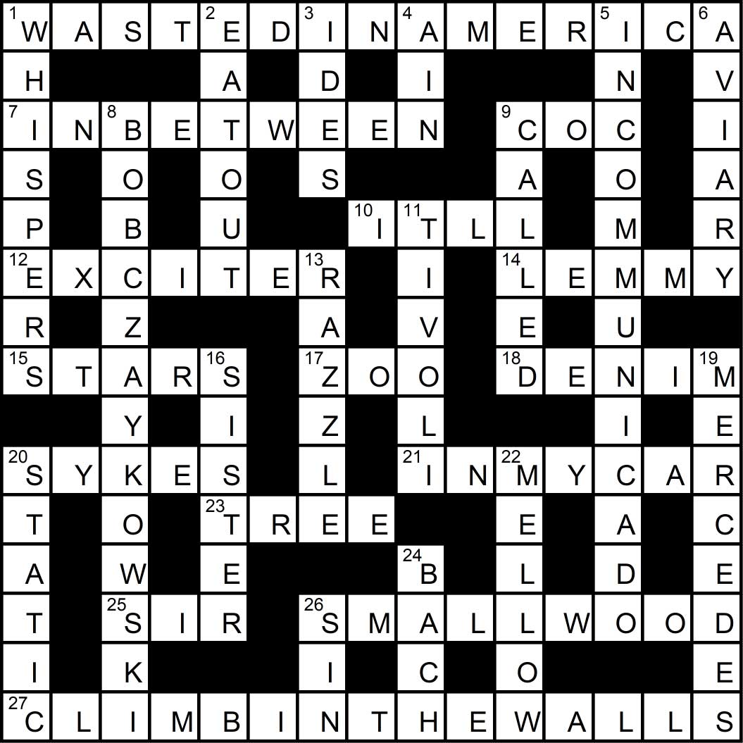Crossword puzzle issue9
